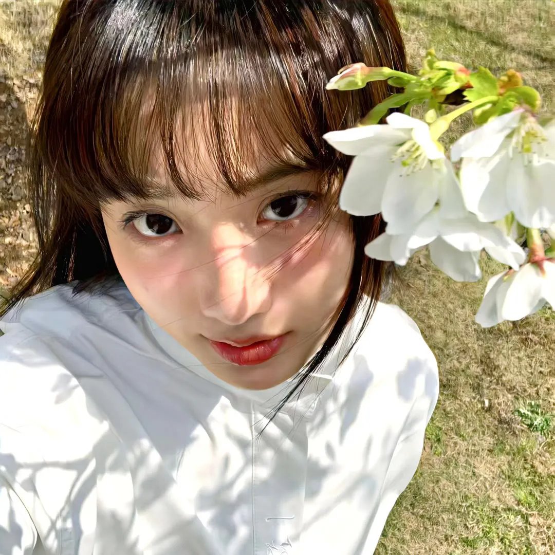 鲨人树儿